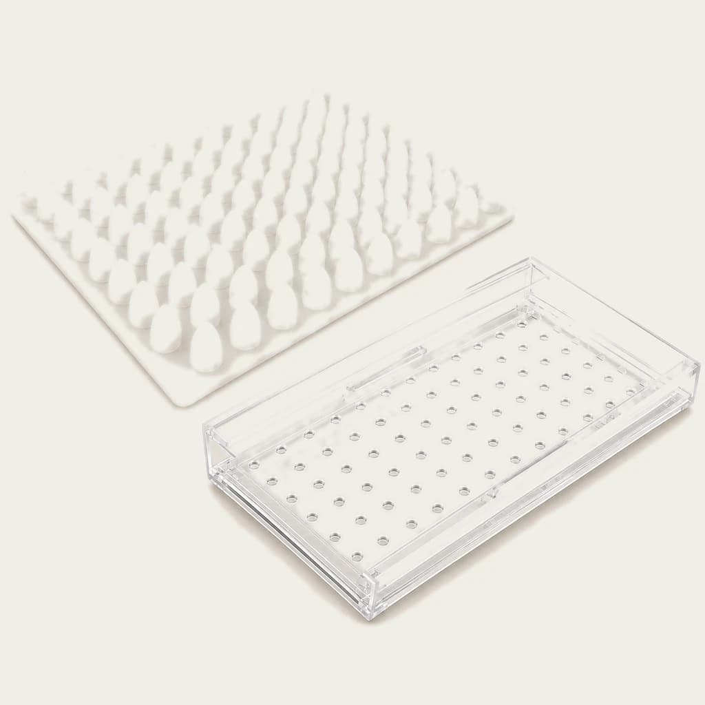 200-Hole Seedlings Package product view